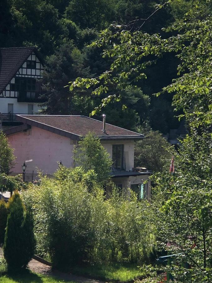 Ferienhaus Waldbaden Im Nationalpark Eifel- Am Bach Шляйден Екстер'єр фото