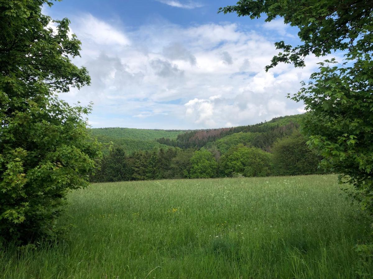 Ferienhaus Waldbaden Im Nationalpark Eifel- Am Bach Шляйден Екстер'єр фото