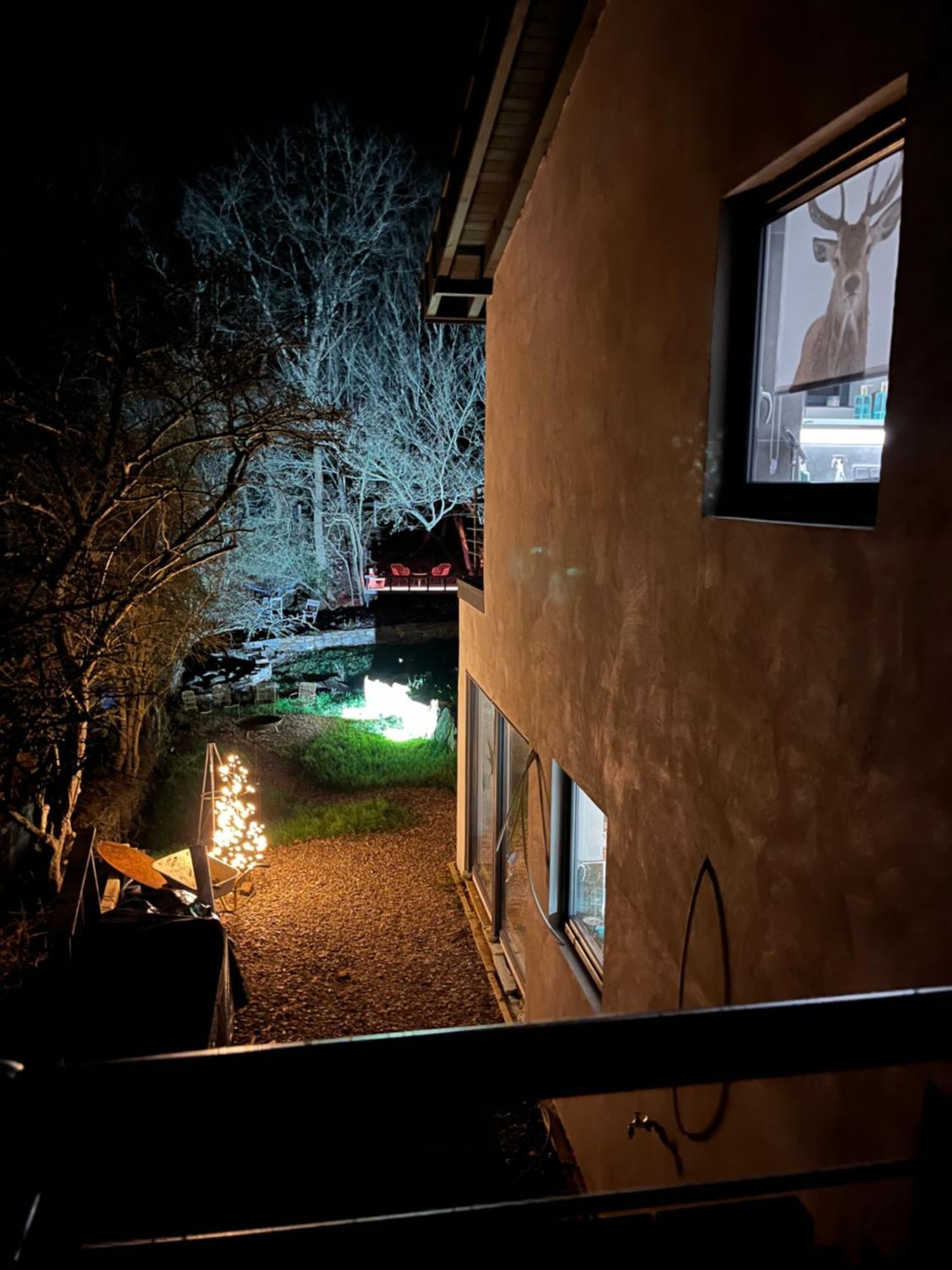 Ferienhaus Waldbaden Im Nationalpark Eifel- Am Bach Шляйден Екстер'єр фото